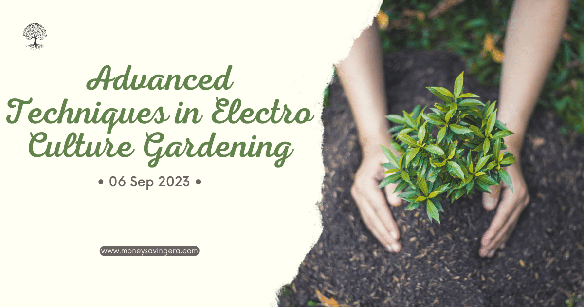 How to Start With ⚡️ELECTROCULTURE Gardening 