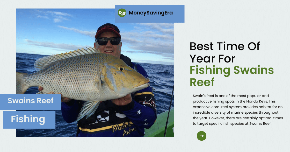 Best Time Of Year For Fishing Swains Reef: Complete Guide