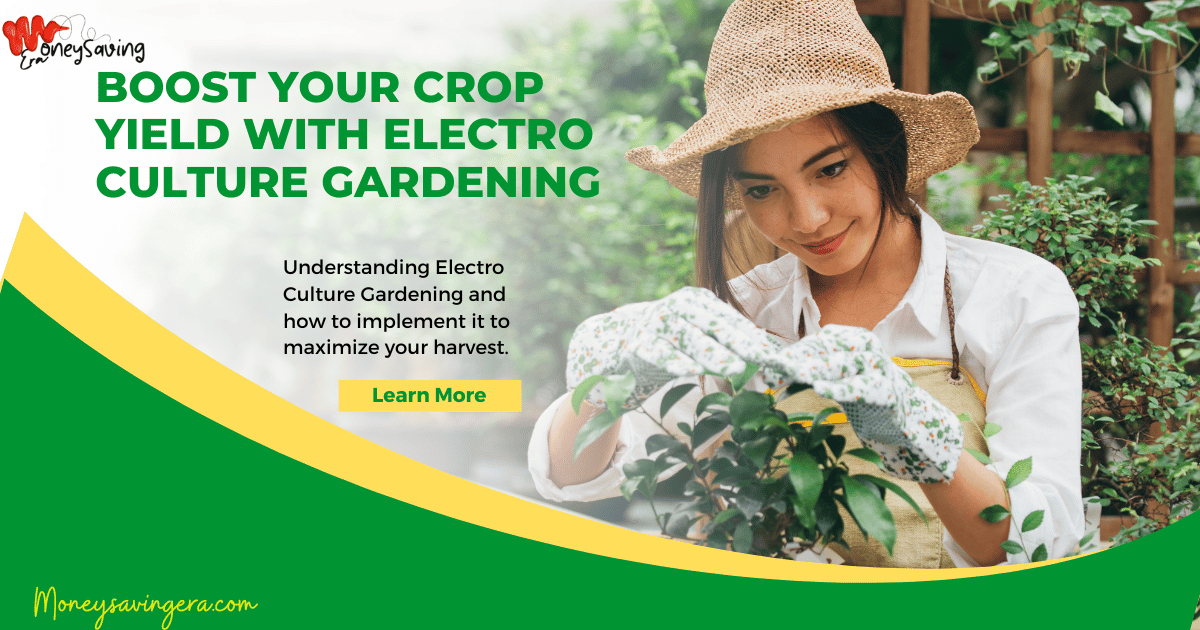 Boost Your Crop Yield with Electro Culture Gardening: A Practical Guide