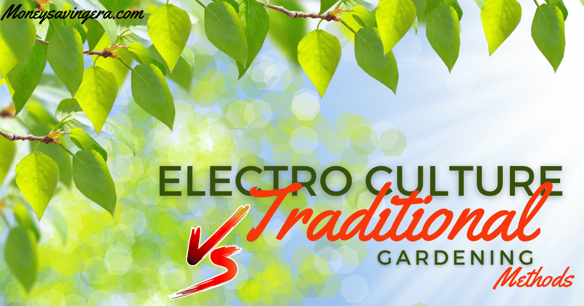 Electro Culture Gardening vs Traditional Methods: Complete Guide