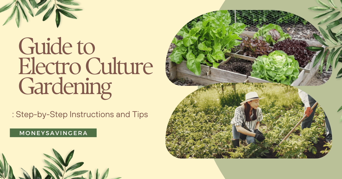 How to Boost Your Garden's Growth with Electroculture Gardening - Pacific  Truffle Growers