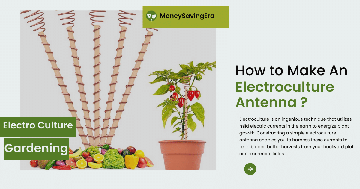 How to Make An Electroculture Antenna for Bountiful Gardens?