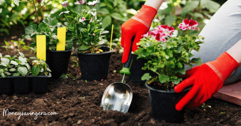 Soil-Based Gardening